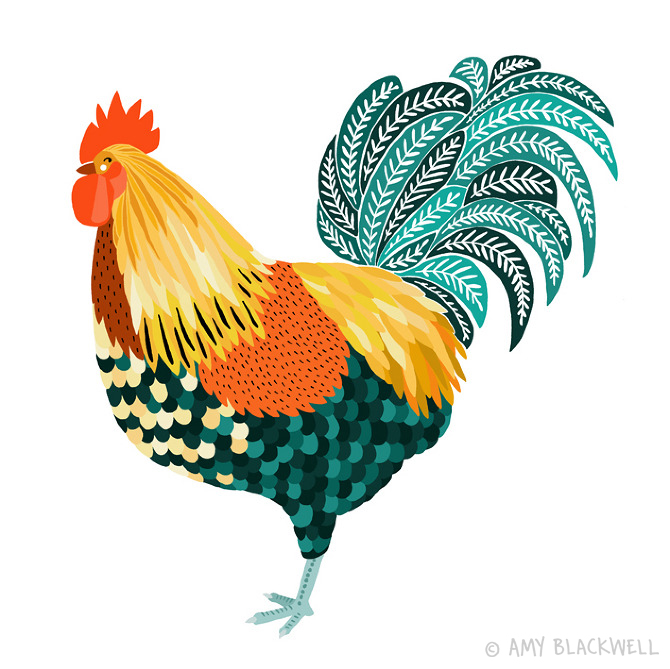 Chickens - Art and illustration by Amy Blackwell